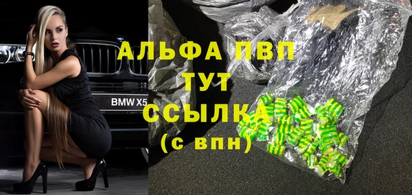 ГАЛЛЮЦИНОГЕННЫЕ ГРИБЫ Карталы