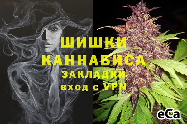 ГАЛЛЮЦИНОГЕННЫЕ ГРИБЫ Карталы