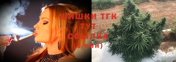 ешки Каменногорск