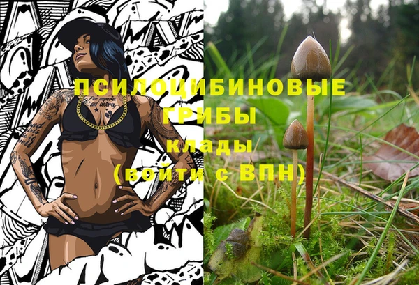 каннабис Каменск-Шахтинский
