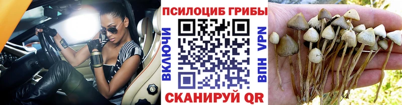 Галлюциногенные грибы MAGIC MUSHROOMS  Петрозаводск 