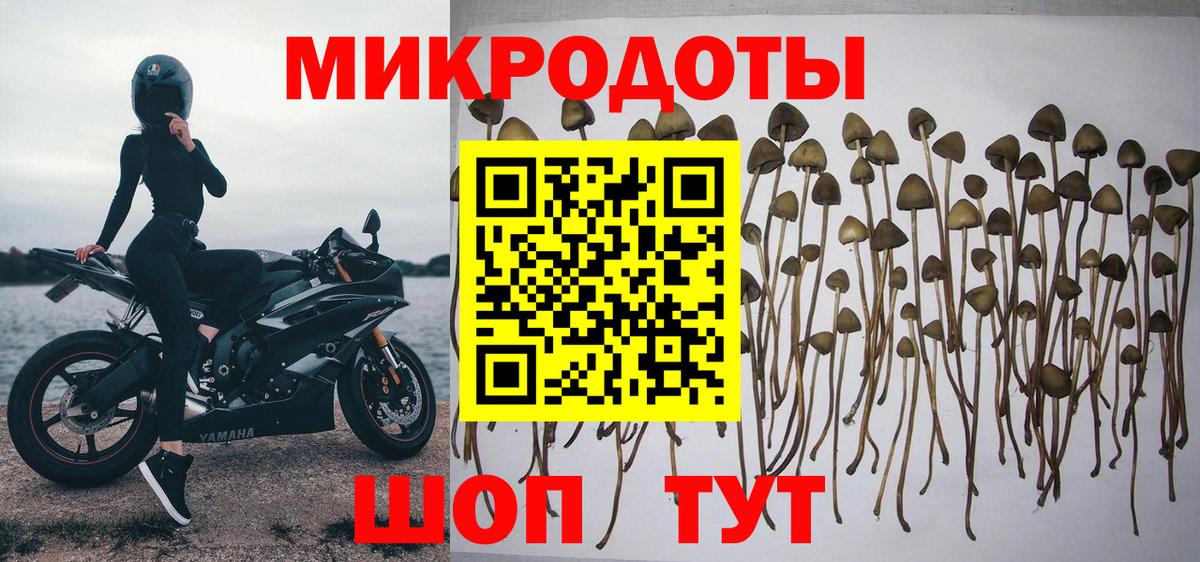 Петрозаводск  Псилоцибиновые грибы Magic Shrooms  Вход с VPN 