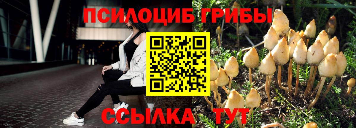 Галлюциногенные грибы GOLDEN TEACHER Петрозаводск